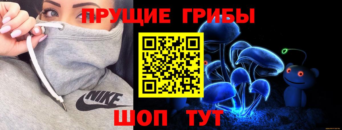 даркнет сайт  Псилоцибиновые грибы мицелий  Вход с VPN  Псилоцибиновые грибы мицелий  Вышний Волочёк 
