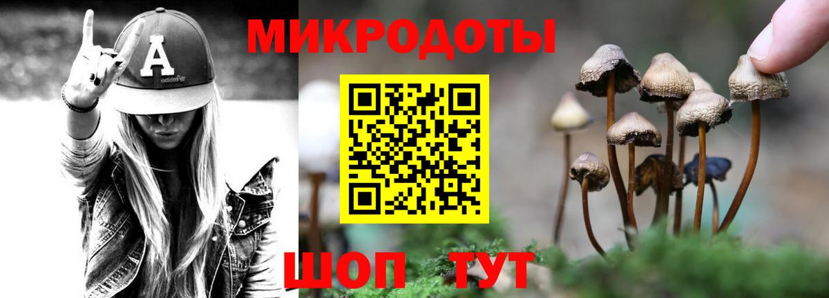 Псилоцибиновые грибы Magic Shrooms Вышний Волочёк